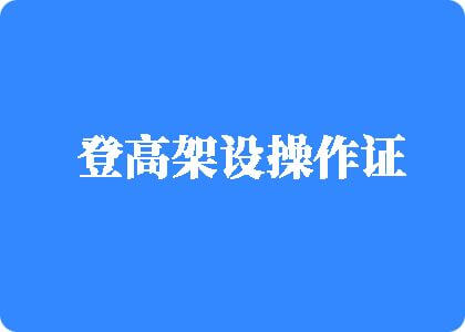 免费网站操毛登高架设操作证