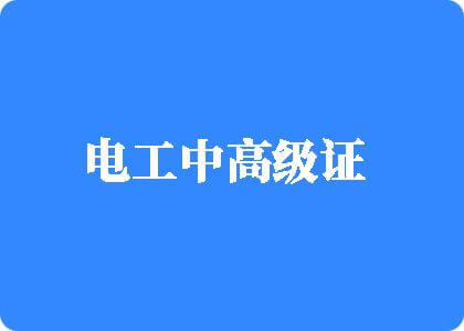 男女性插免费网站电工中高级证